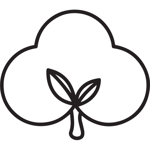 Organic Cotton