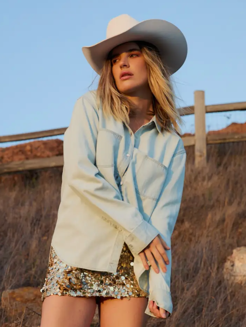 The Essential Denim Shirt